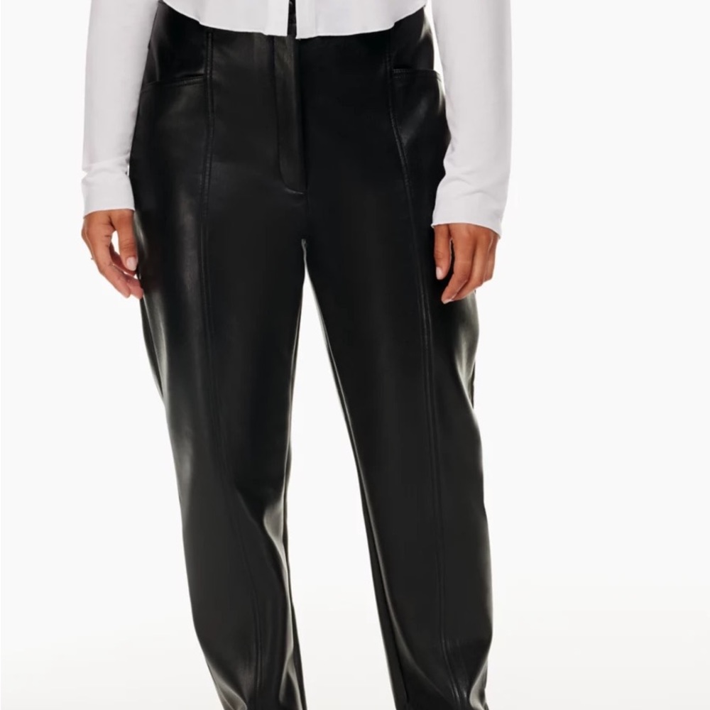 Aritzia leather pants